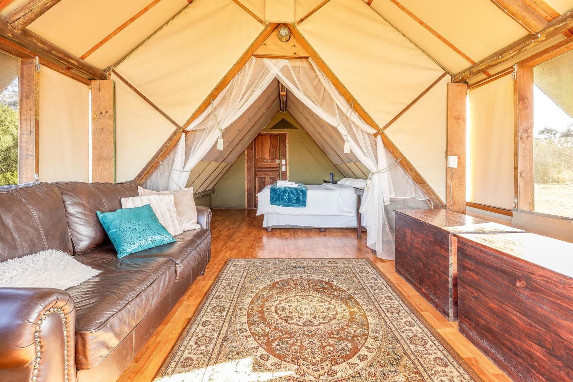 Buffelshoek Tented Camp Rezervace Manyeleti Exteriér fotografie