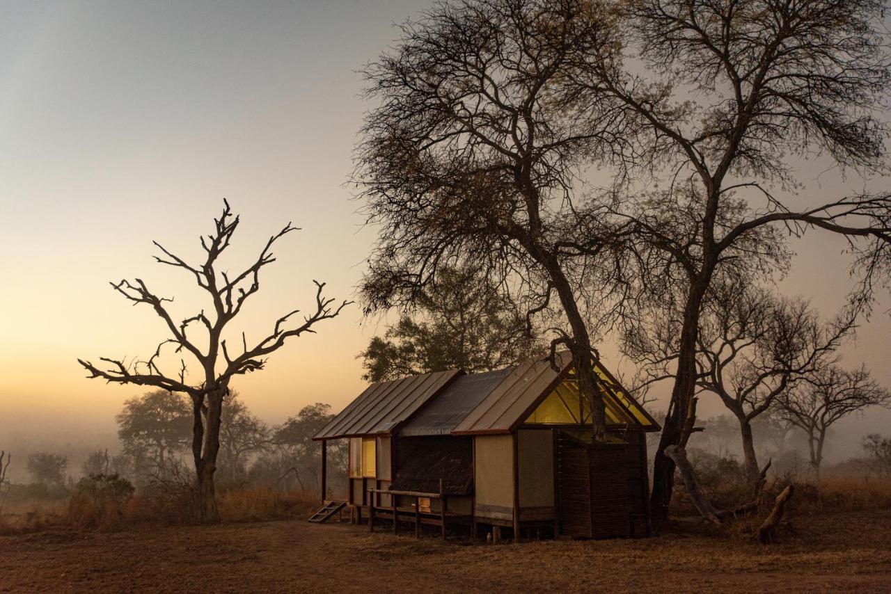 Buffelshoek Tented Camp Rezervace Manyeleti Exteriér fotografie