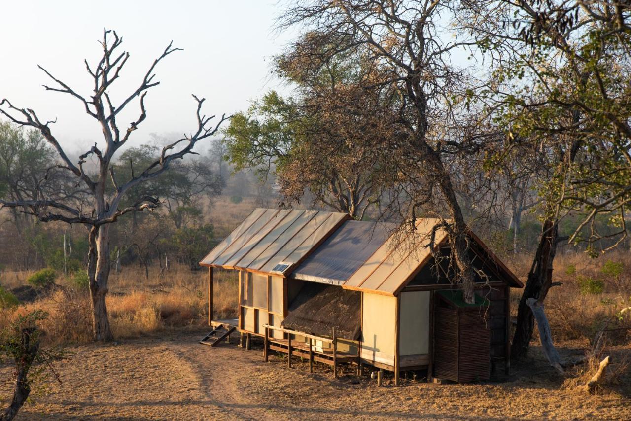 Buffelshoek Tented Camp Rezervace Manyeleti Exteriér fotografie