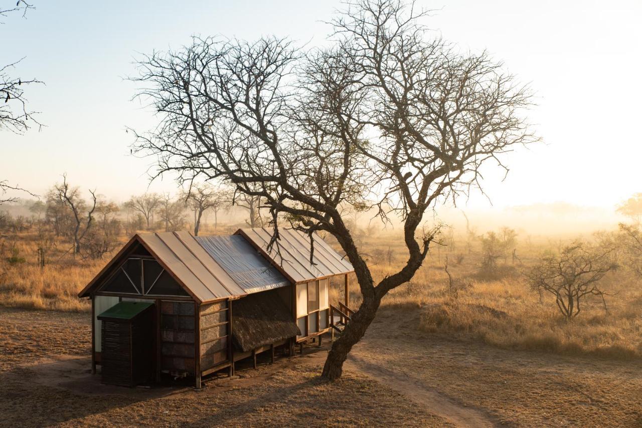 Buffelshoek Tented Camp Rezervace Manyeleti Exteriér fotografie